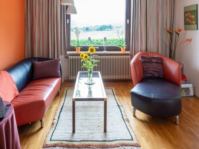 Holiday house Holiday Home Attersee near Hiking Trails - Features photo 27