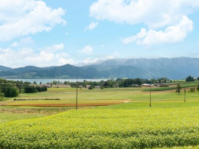 Holiday house Holiday Home Attersee near Hiking Trails - Environment photo 31