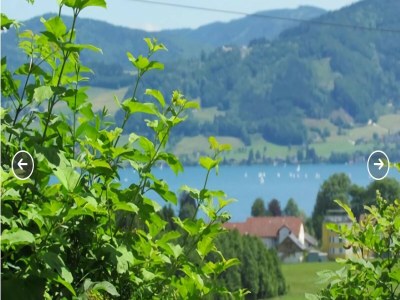 Holiday house Holiday Home Attersee near Hiking Trails - Outdoor photo 36