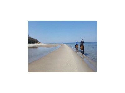 Holiday house Modernes Ferienhaus mit Sauna in Wiek am Meer - Environment photo 28