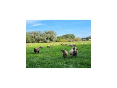 Holiday house Modernes Ferienhaus mit Sauna in Wiek am Meer - Environment photo 29