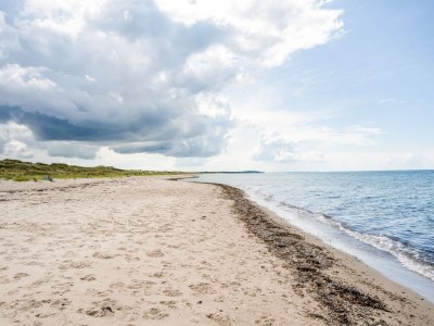 Holiday house 4 person holiday home in Frederiksværk - Outdoor photo 11