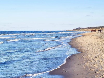 Holiday house 4 person holiday home in Frederiksværk - Outdoor photo 14