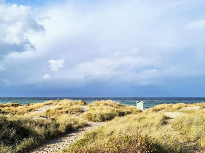 Holiday house 4 person holiday home in Frederiksværk - Outdoor photo 38