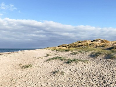 Holiday house 4 person holiday home in Frederiksværk - Outdoor photo 39