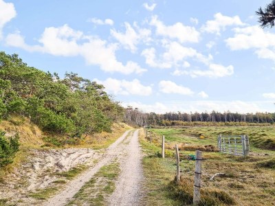 Holiday house 4 person holiday home in Frederiksværk - Outdoor photo 41