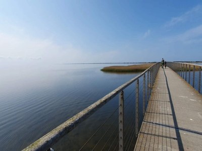 Holiday house 4 person holiday home in Ringkøbing-By Traum - Outdoor photo 12