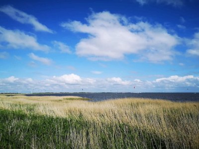 Holiday house 4 person holiday home in Ringkøbing-By Traum - Outdoor photo 37