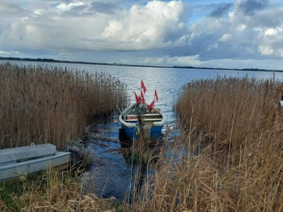 Holiday house 4 person holiday home in Ringkøbing-By Traum - Outdoor photo 39