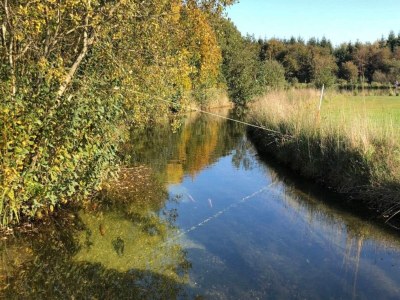 Holiday house 5 person holiday home in Toftlund-By Traum - Outdoor photo 33