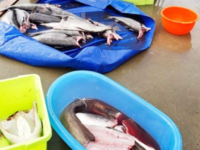 Holiday house 4 person holiday home in Svelgen-By Traum - Outdoor photo 8