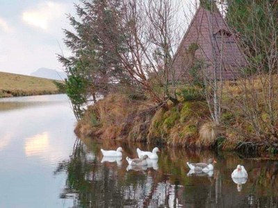 Holiday house 6 Personen Ferienhaus in Tansøy-By Traum - Outdoor photo 23