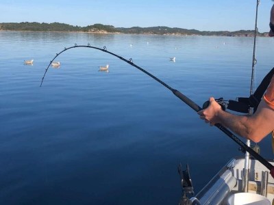 Holiday house 7 Personen Ferienhaus in Huglo-By Traum - Outdoor photo 16