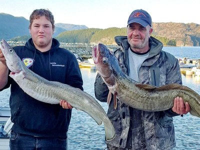 Holiday house 7 Personen Ferienhaus in Huglo-By Traum - Outdoor photo 36