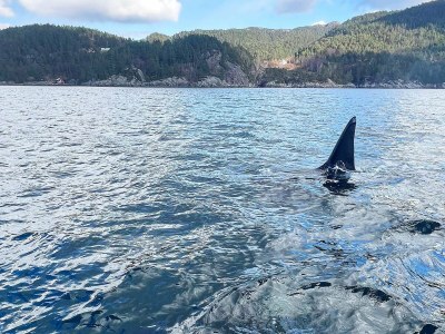 Holiday house 7 Personen Ferienhaus in Huglo-By Traum - Outdoor photo 38