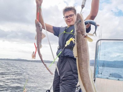 Holiday house 7 Personen Ferienhaus in Huglo-By Traum - Outdoor photo 41