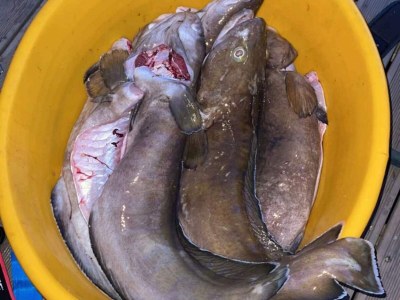 Holiday house 7 Personen Ferienhaus in Huglo-By Traum - Outdoor photo 45