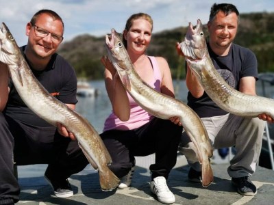 Holiday house 7 Personen Ferienhaus in Huglo-By Traum - Outdoor photo 51