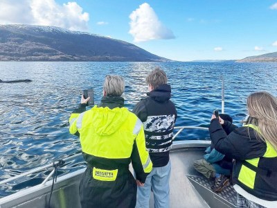 Holiday house 7 Personen Ferienhaus in Huglo-By Traum - Outdoor photo 60