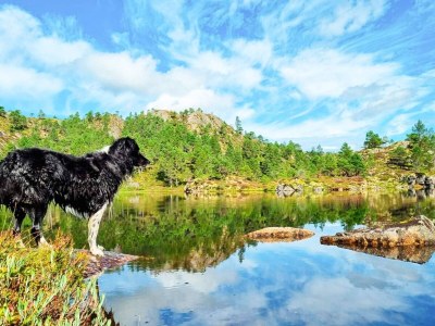 Holiday house 8 Personen Ferienhaus in Snillfjord-By Traum - Outdoor photo 27