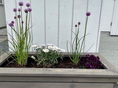 Holiday house 6 person holiday home in Huglo-By Traum - Outdoor photo 8