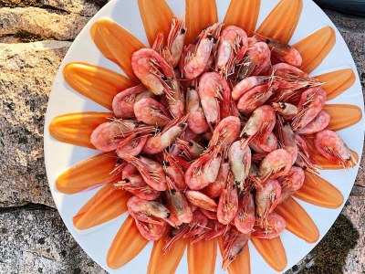 Holiday house 8 Personen Ferienhaus in averøy-By Traum - Outdoor photo 27