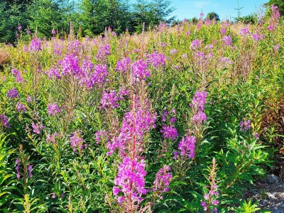 Holiday house 8 person holiday home in Hellesøy-By Traum - Outdoor photo 2