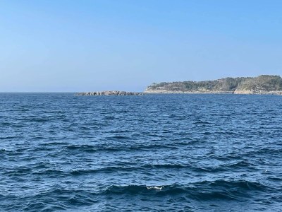 Holiday house 8 person holiday home in Hellesøy-By Traum - Outdoor photo 3