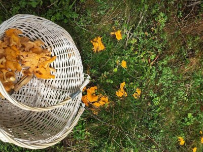 Holiday house 6 person holiday home in AVERØY-By Traum - Outdoor photo 9