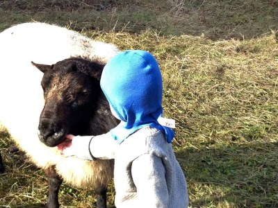Holiday house 6 person holiday home in AVERØY-By Traum - Outdoor photo 15