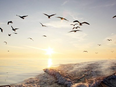 Holiday house 6 person holiday home in AVERØY-By Traum - Outdoor photo 45