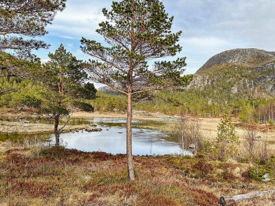 Holiday house 4 person holiday home in Lysøysundet - Outdoor photo 20