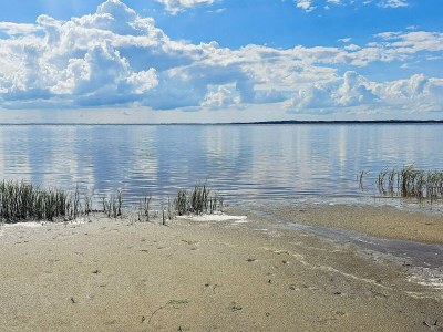 Holiday house 4 star holiday home in Gedsted-By Traum - Outdoor photo 10