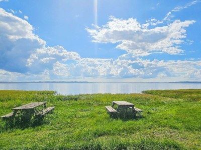 Holiday house 4 star holiday home in Gedsted-By Traum - Outdoor photo 17