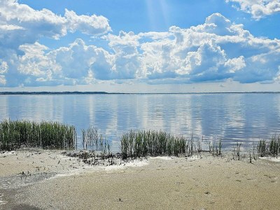 Holiday house 4 star holiday home in Gedsted-By Traum - Outdoor photo 19