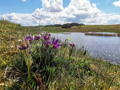 Holiday house 4 star holiday home in Gedsted-By Traum - Outdoor photo 28