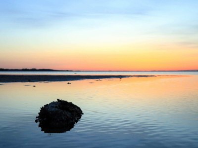 Holiday house 4 star holiday home in Gedsted-By Traum - Outdoor photo 31