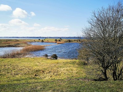 Holiday house 4 star holiday home in Gedsted-By Traum - Outdoor photo 32