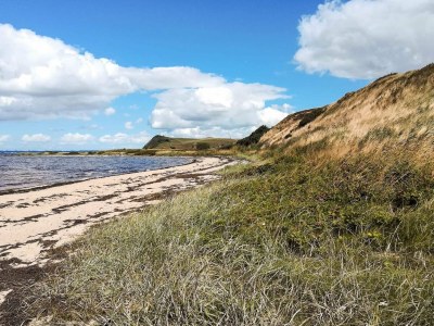 Holiday house 4 star holiday home in Gedsted-By Traum - Outdoor photo 33