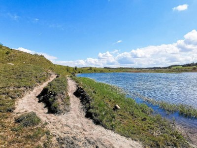 Holiday house 4 star holiday home in Gedsted-By Traum - Outdoor photo 36