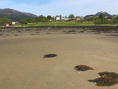 Holiday house 10 person holiday home in Tornes I Romsdal - Outdoor photo 17