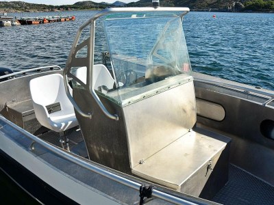 Holiday house 12 Personen Ferienhaus in Oksvoll - Outdoor photo 51