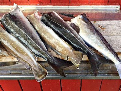 Holiday house 8 person holiday home in averøy - Outdoor photo 20