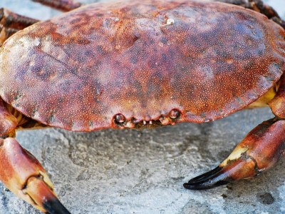 Holiday house 10 person holiday home in Brattvåg - Outdoor photo 50