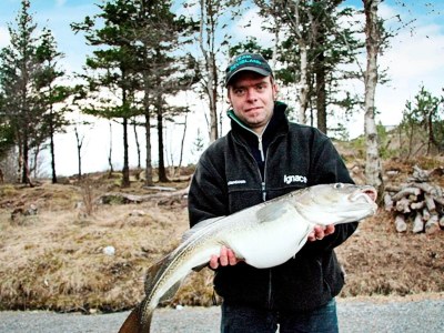 Holiday house 12 Personen Ferienhaus in Kvenvær - Outdoor photo 25