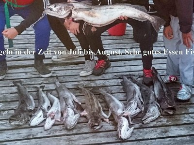 Holiday house 10 person holiday home in Brattvåg - Outdoor photo 19