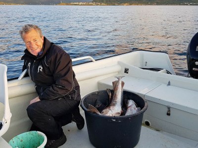 Holiday house 10 person holiday home in Brattvåg - Outdoor photo 33