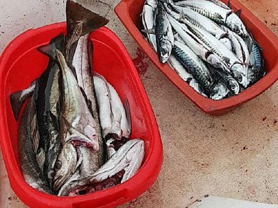 Holiday house 10 person holiday home in Brattvåg - Outdoor photo 35