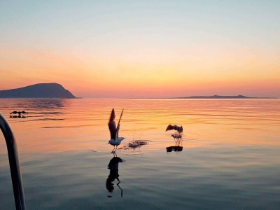 Holiday house 10 person holiday home in Brattvåg - Outdoor photo 50