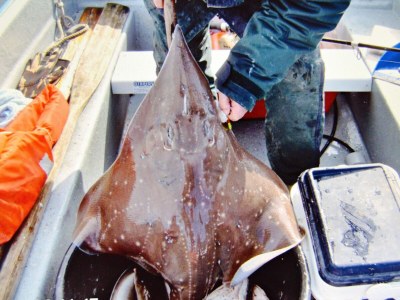 Apartment 6 person holiday home in EIDSVÅG - Outdoor photo 42